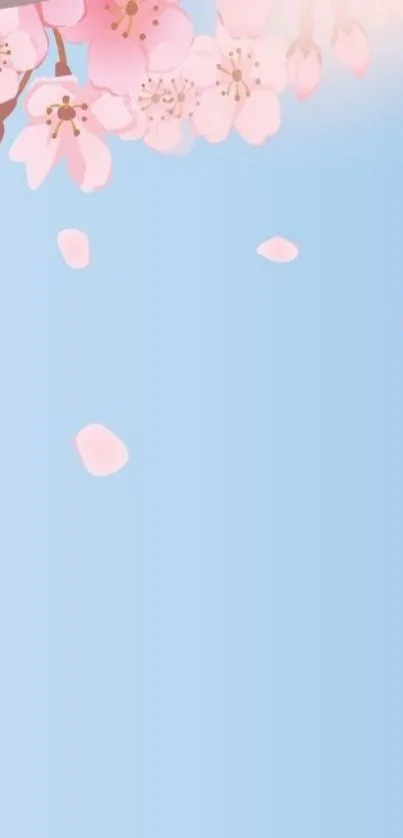 Cherry blossoms with pink petals on a soft blue sky background.