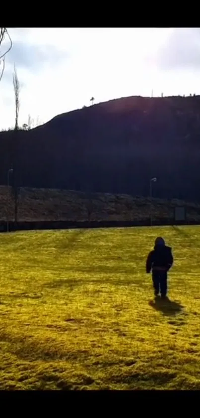 Child walks across a sunny, grassy field under a clear sky.