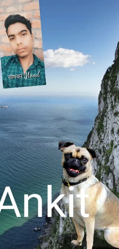 Cliffside view with dog mobile wallpaper.