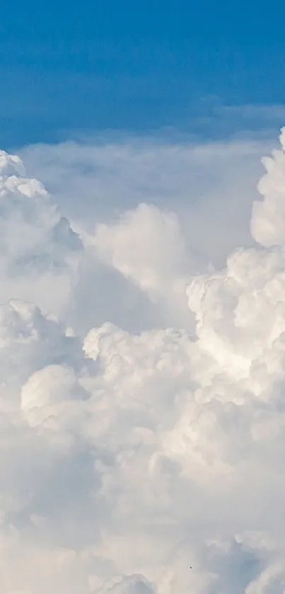 Fluffy white clouds under a clear blue sky.