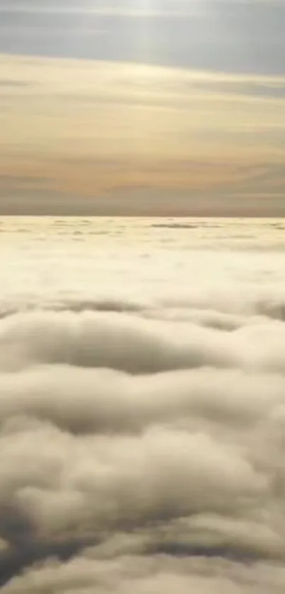 Serene aerial view of soft clouds with a warm sunlit sky.