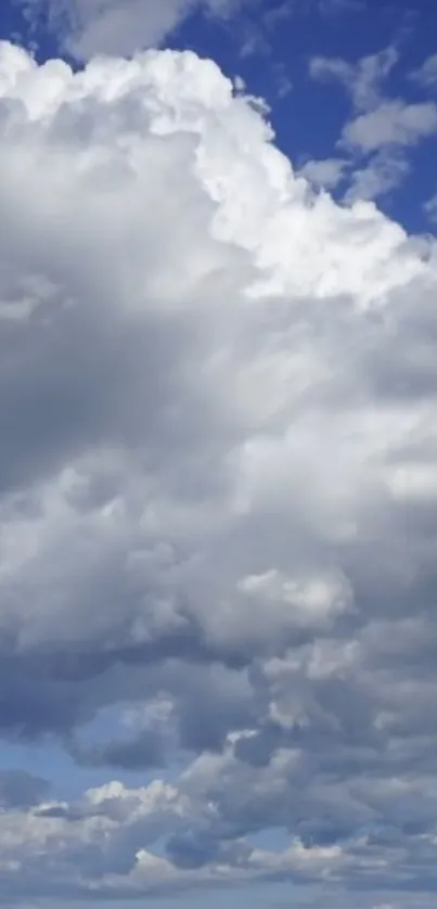 Serene cloudy sky with blue tones and fluffy white clouds.