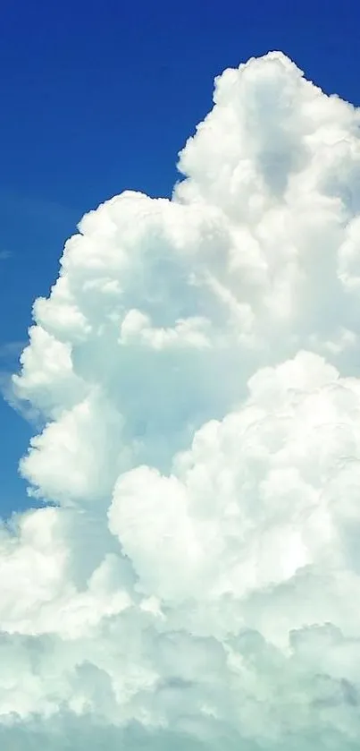 Fluffy white clouds against a clear blue sky - perfect mobile wallpaper.