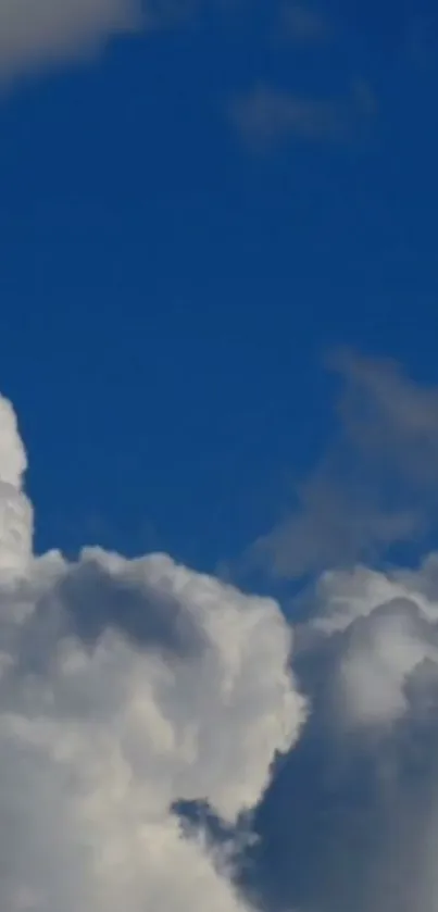 Serene clouds against a blue sky wallpaper.