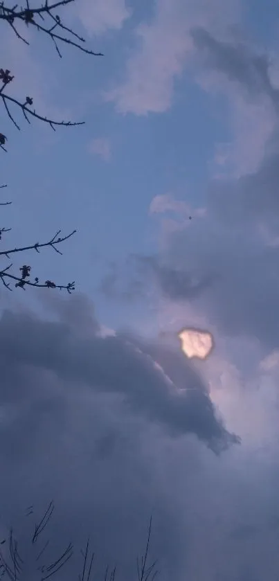 Serene cloudy sky with branches at dusk.