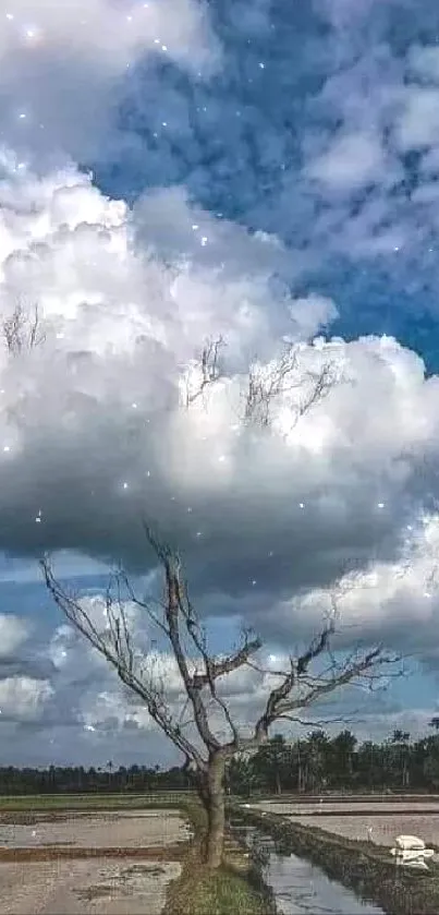 Tree under fluffy clouds with blue sky and reflection, serene nature scene.