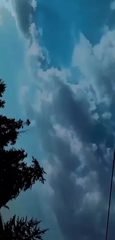 Peaceful cloudy sky with trees silhouette and power lines.