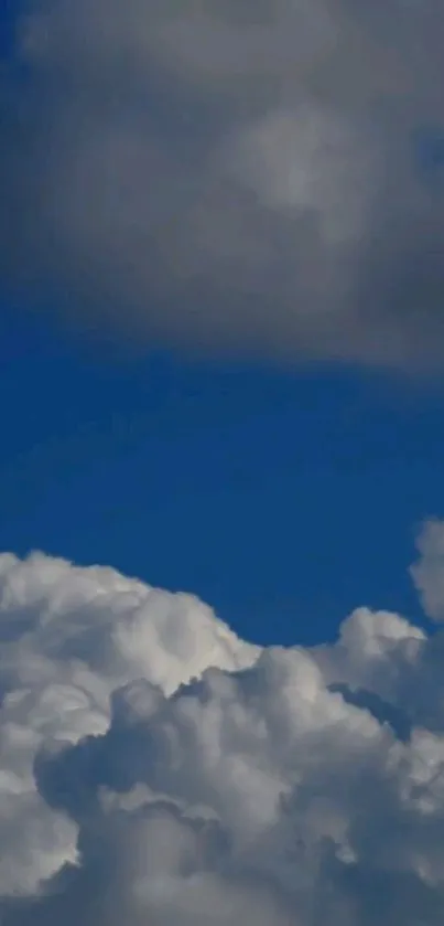 Fluffy white clouds against a royal blue sky.