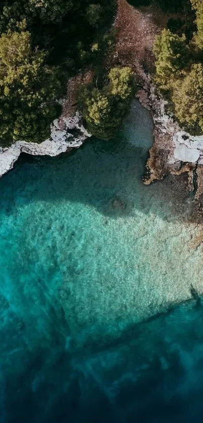 Aerial view of a coastline with turquoise waters and lush green trees.