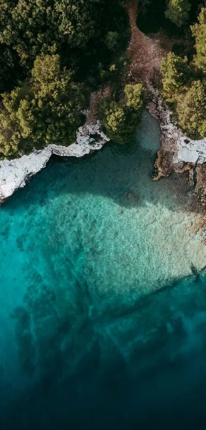 Aerial view of a turquoise coastline with lush greenery and clear waters.