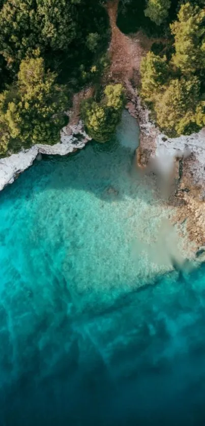 Aerial view of turquoise waters and lush forest coastline.