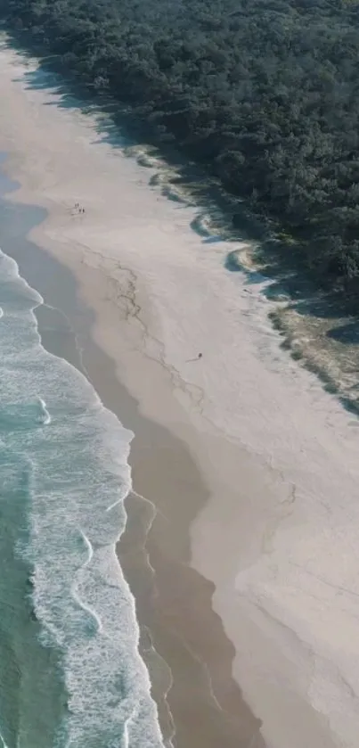 Aerial view of serene beach with waves and lush forest.