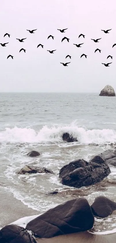 Waves crash on a rocky beach under birds flying.