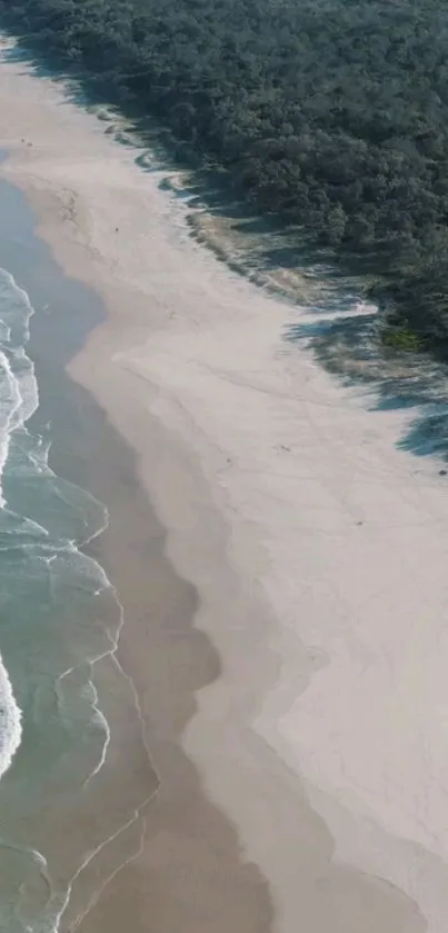 Aerial view of a serene beach with turquoise waves and lush greenery.