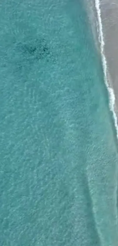 Aerial view of turquoise ocean meeting a sandy beach.