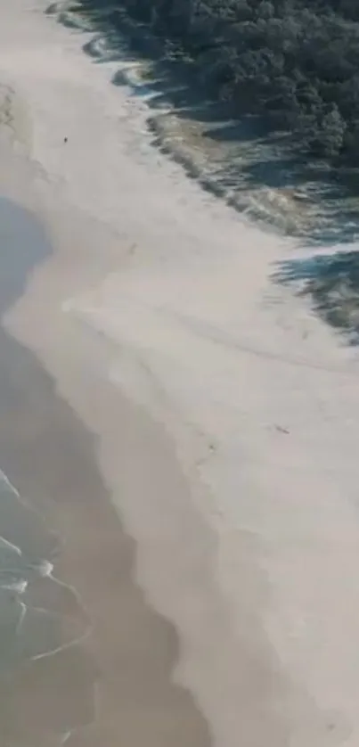 Aerial view of a serene, sandy beach along a lush coastline.