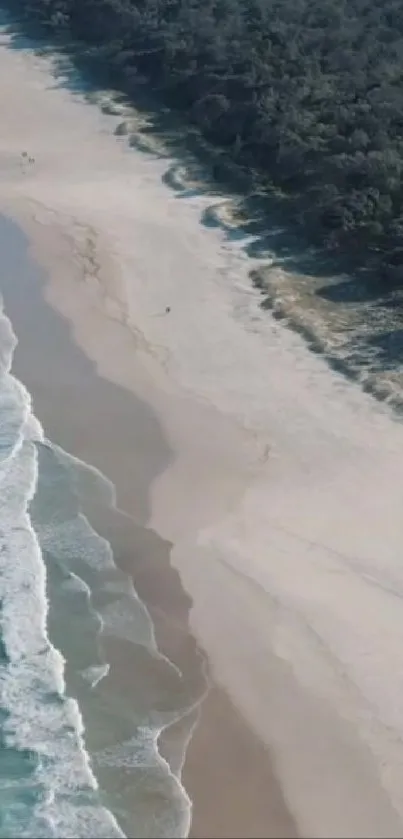 A serene aerial view of a beach with gentle ocean waves and lush greenery.