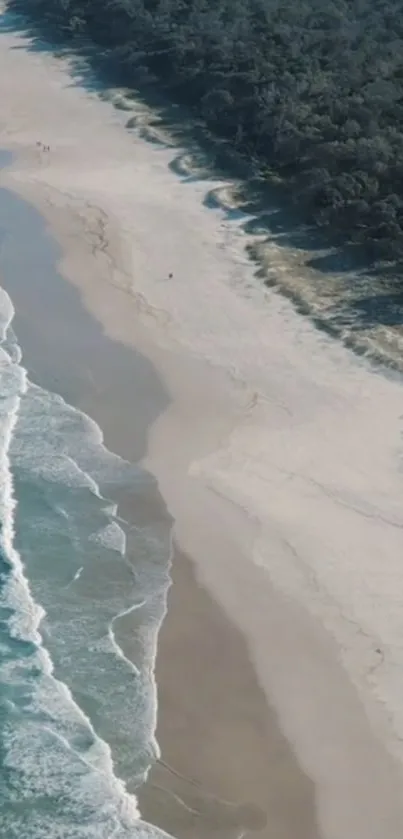 Aerial view of a serene beach with waves and forest line.