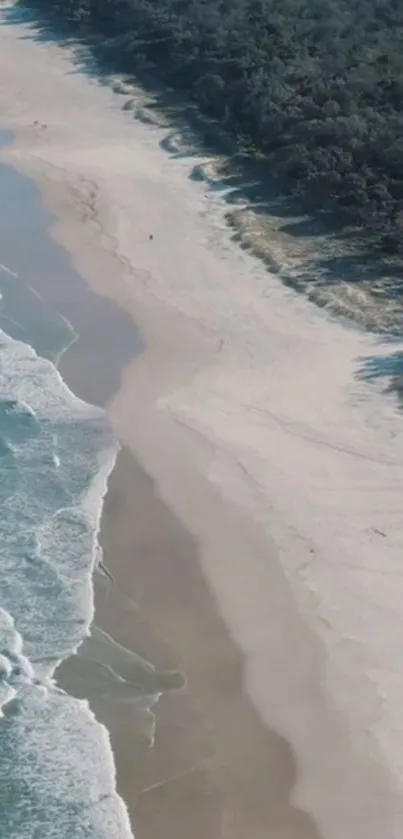 Aerial view of a serene beach with gentle ocean waves and sandy shore.