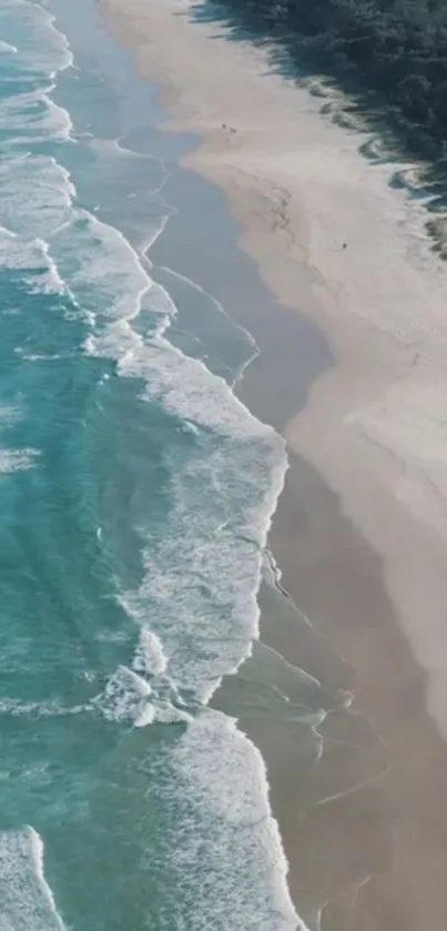 Aerial view of a serene beach with turquoise waves and sandy shoreline.