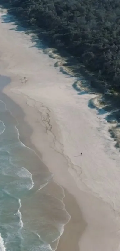 Aerial view of a serene coastal beach with waves gently meeting the sandy shore.