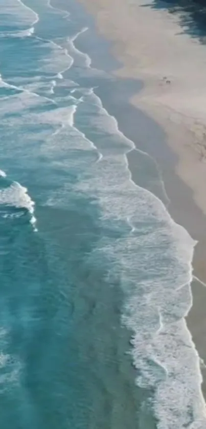 Aerial view of a serene beach with gentle ocean waves and sandy shores.