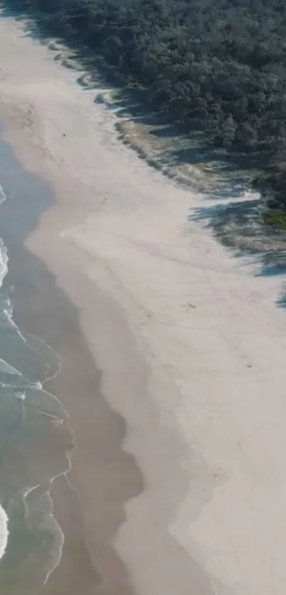 Aerial view of a serene beach with gentle waves and sandy shores.