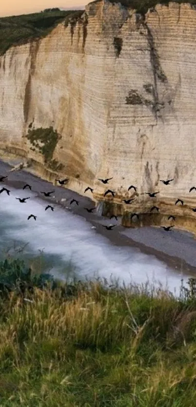 Serene vista of cliffs and ocean with birds in flight.