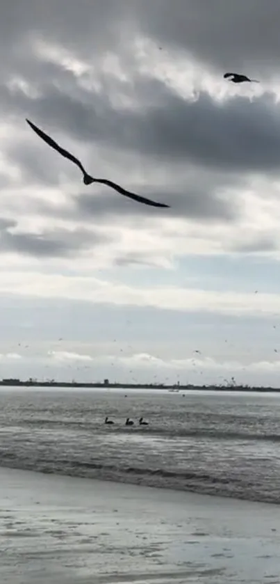 Birds flying over a serene coastal landscape with a cloudy sky.