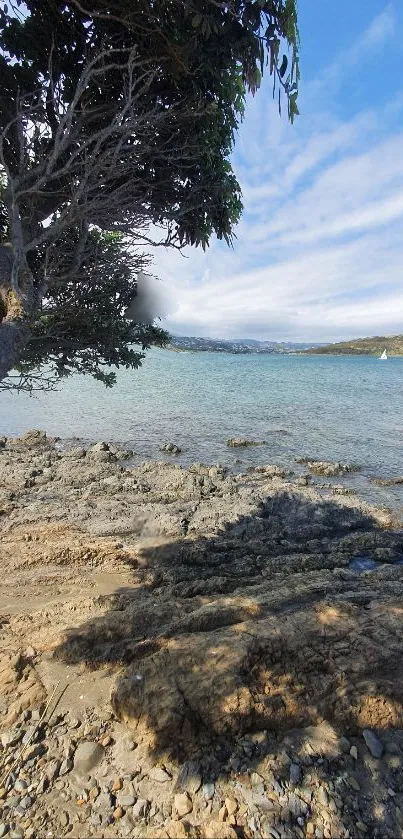 Serene coastal wallpaper with blue skies, rocky shore, and tree shade.