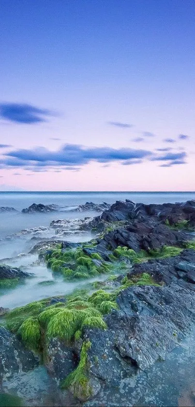 Peaceful coastal landscape with rocks and green moss under a blue sky.