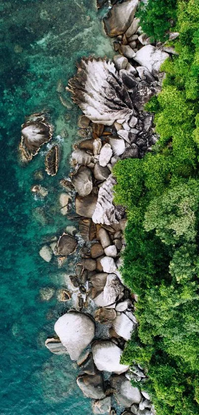 Aerial view of rocky coastline with lush green forest and turquoise ocean.