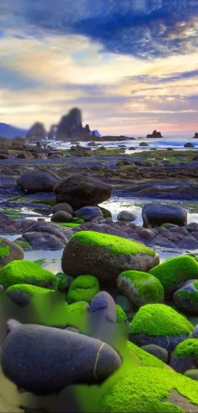 Serene coastal landscape with green mossy rocks and tranquil sea.