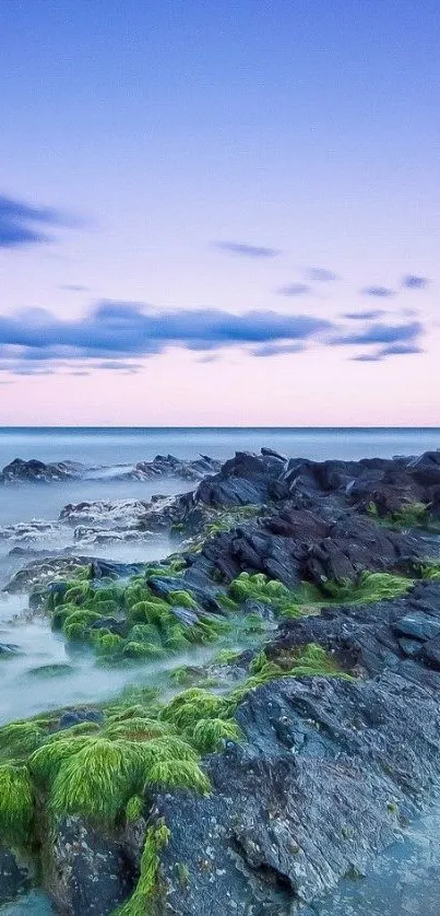 Serene coastal seascape with rocky shore and blue sky.