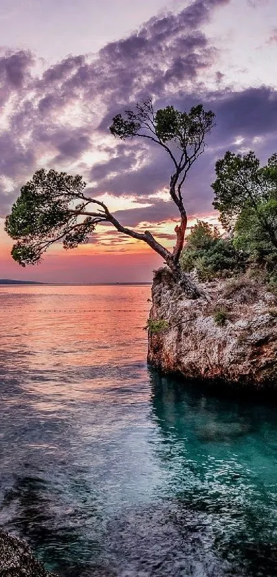 A serene coastal sunset with a rock and pine trees, reflecting vibrant colors on the sea.