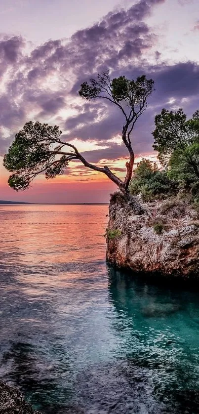 Serene coastal sunset with lone tree on rocky island.