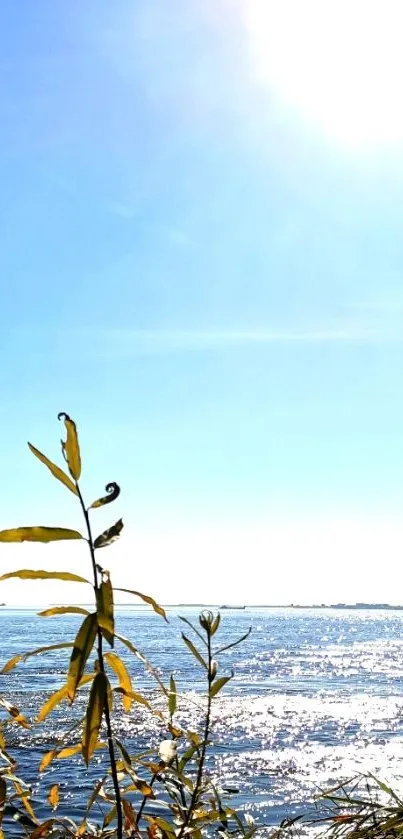 Serene coastline with sun and ocean waves on a clear blue sky.