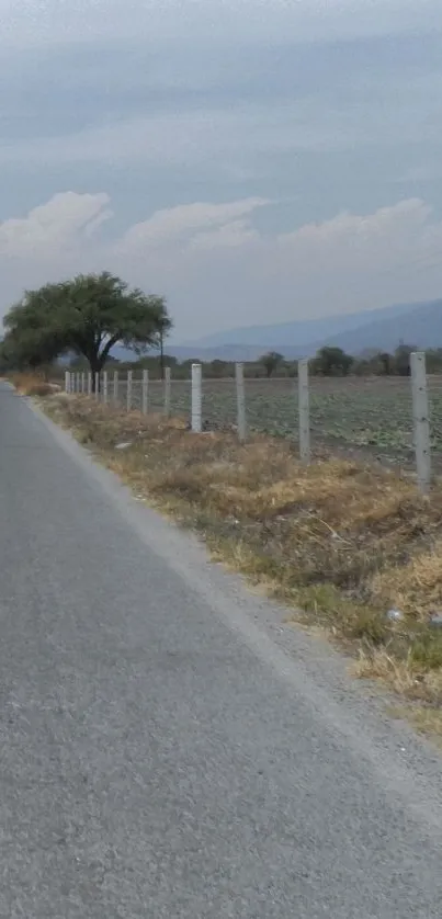 Scenic rural road with fields and mountains under a vast sky.