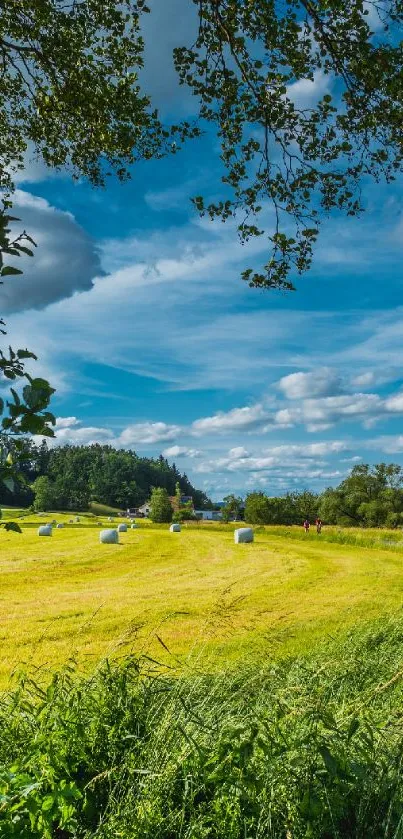 Scenic countryside landscape with blue sky and green fields.