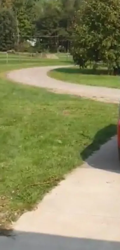 Serene countryside driveway with green lawns and a red vehicle parked.