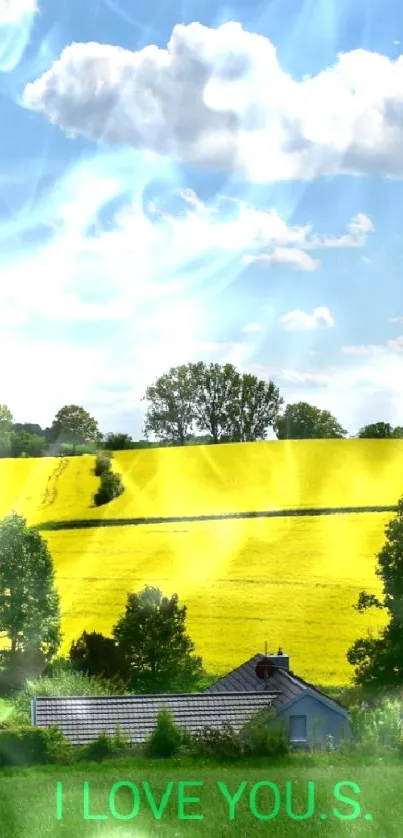 Peaceful countryside with green fields and yellow blooms under a blue sky.