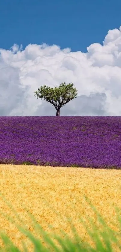 Serene landscape with tree, fields, and clouds.