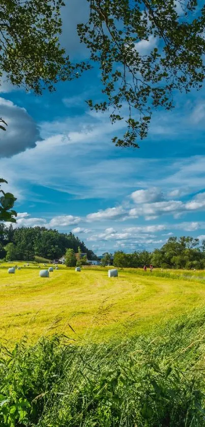 Serene countryside with green fields under a blue sky.