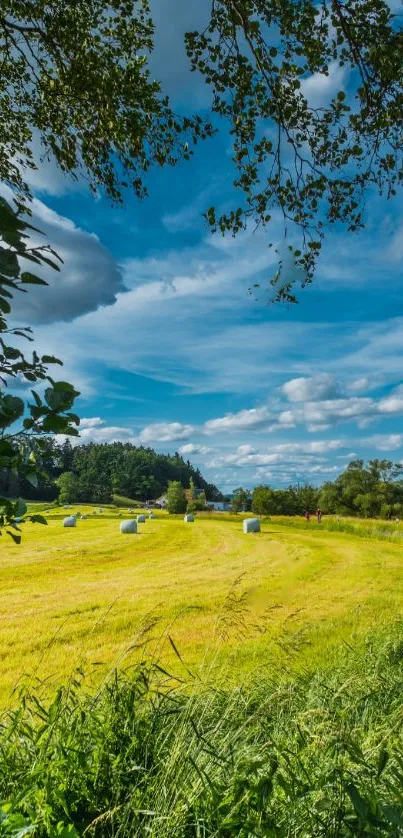 Serene countryside with green fields under a blue sky.