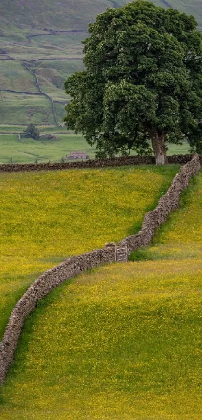 A serene countryside landscape with a tree and stone wall in a green field.