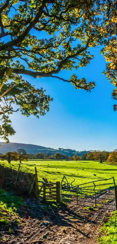 Vibrant countryside scene with sunlit path and blue sky.