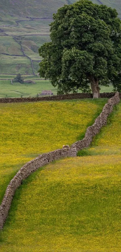 Countryside landscape with a tree, yellow field, and stone wall.