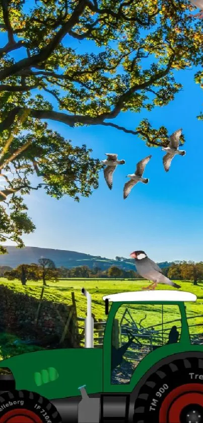 Countryside scene with tractor under sunlit trees and birds flying.