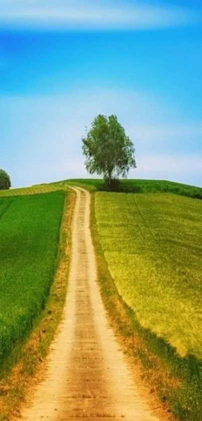 Serene countryside path with green fields and a blue sky.