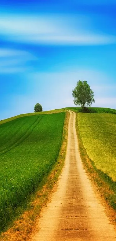 Scenic path through lush green fields under a bright blue sky, perfect mobile wallpaper.